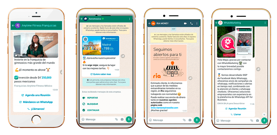 Whatsapp API Empresarial Servicios