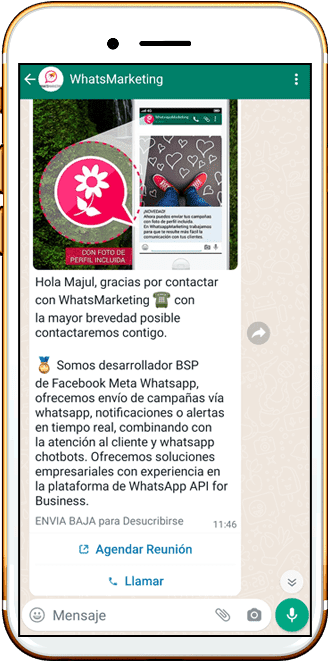 Whatsapp API fo Business servicio