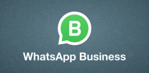 API de Whatsapp Business